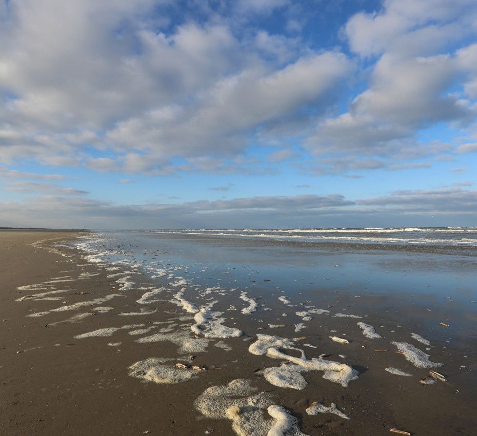 What to do if you get caught in a rip current - VVV Ameland