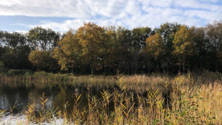 Herfst en najaar op Ameland - VVV Ameland