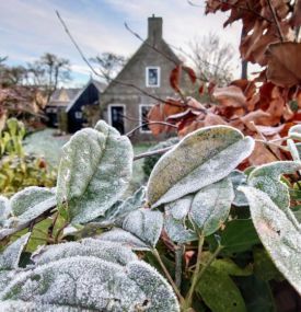 The Best activities on Ameland during the Christmas Holidays - VVV Ameland