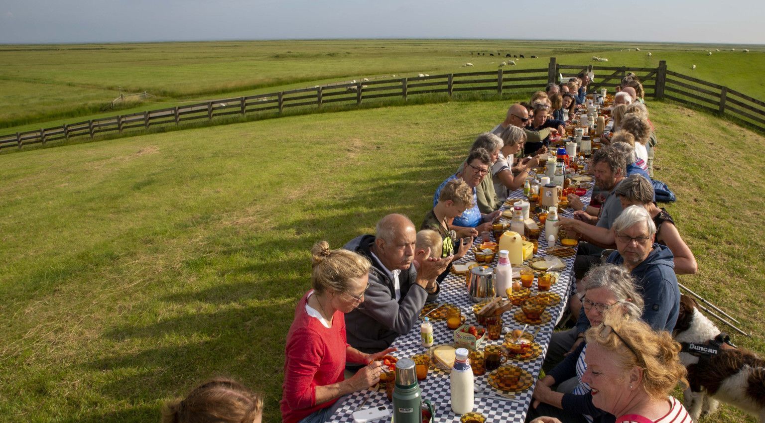 Day of the Wadden Sea - Tourist information 