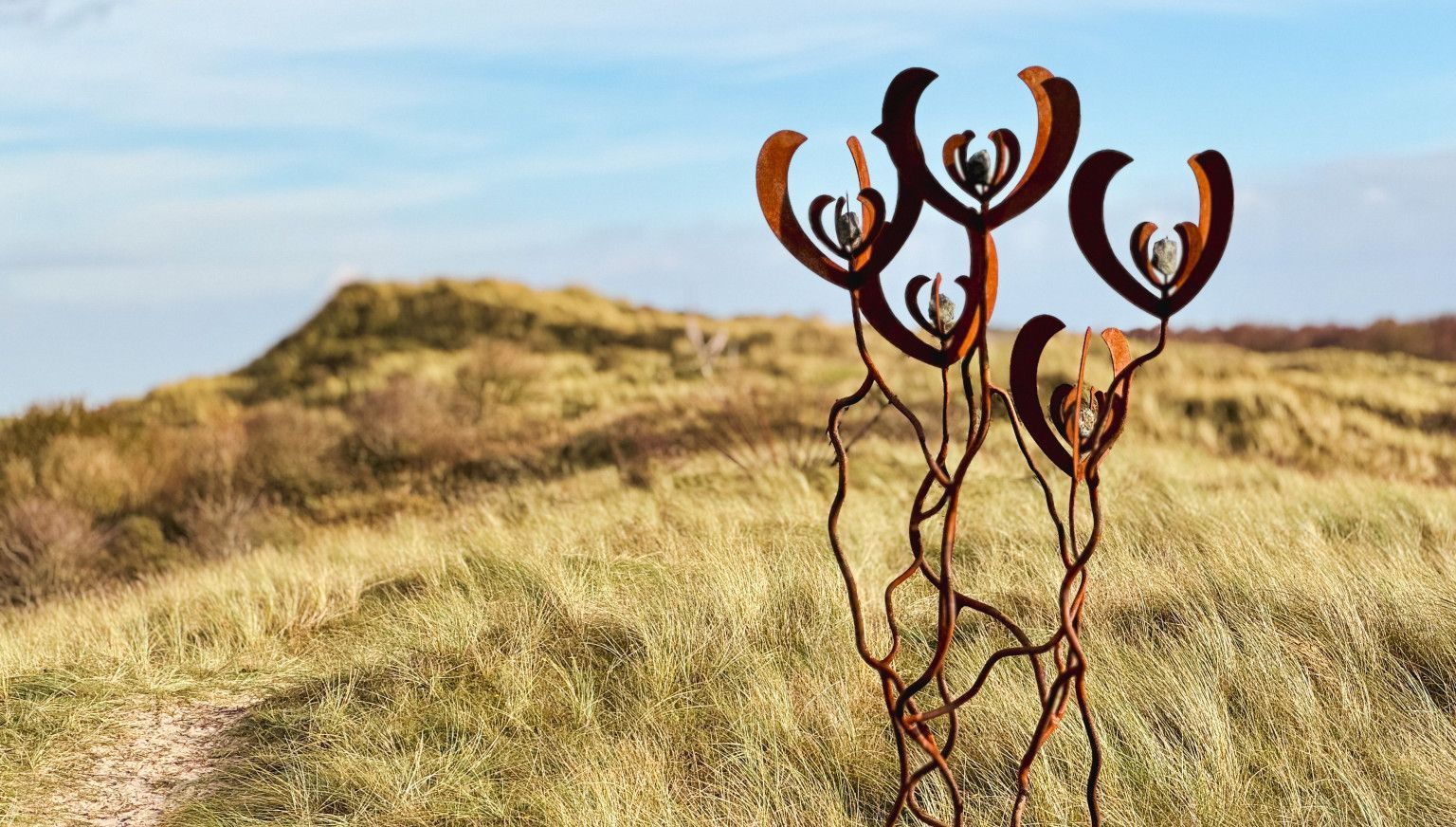 November Kunstmaand - VVV Ameland