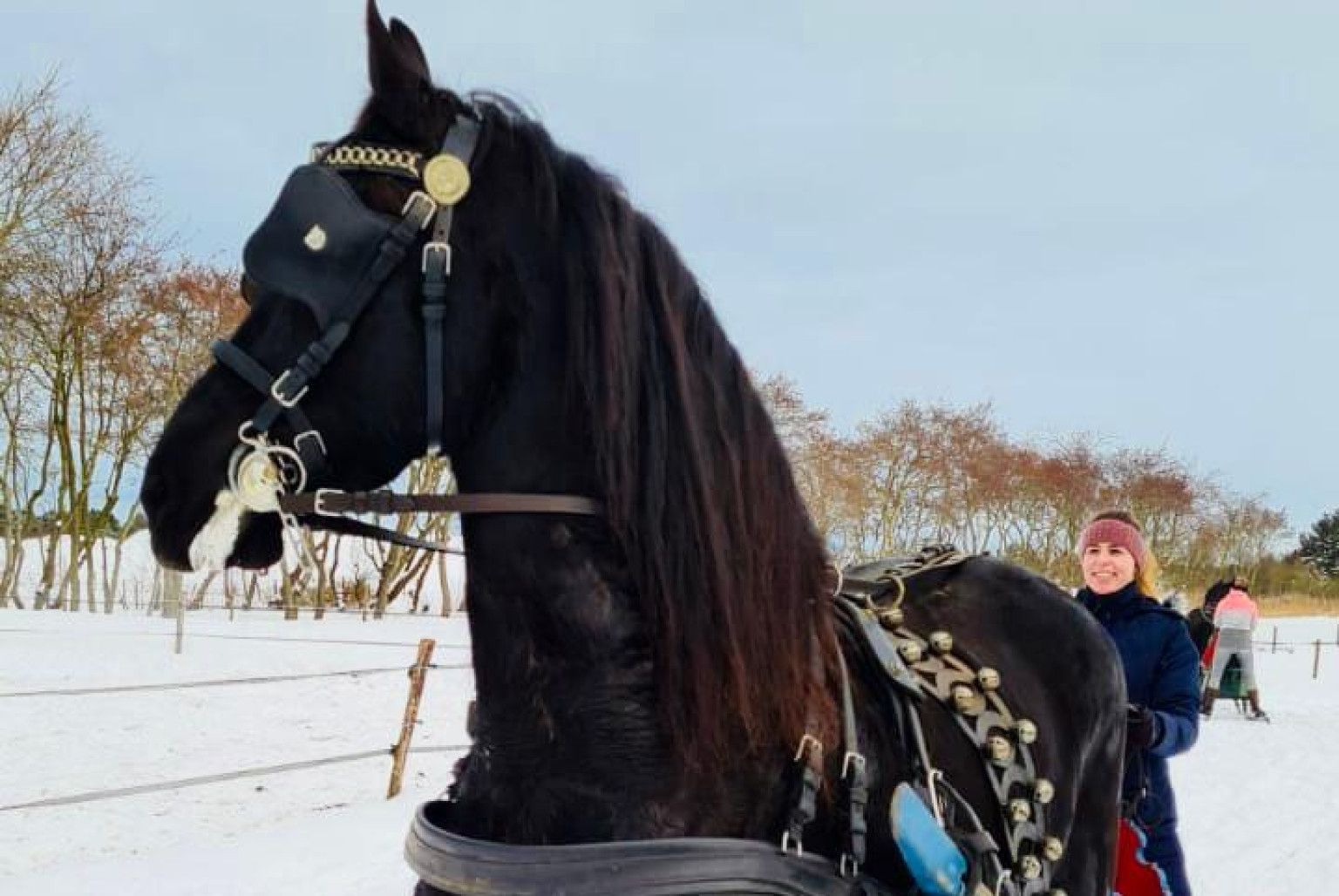 Carriage rides on Ameland - VVV Ameland