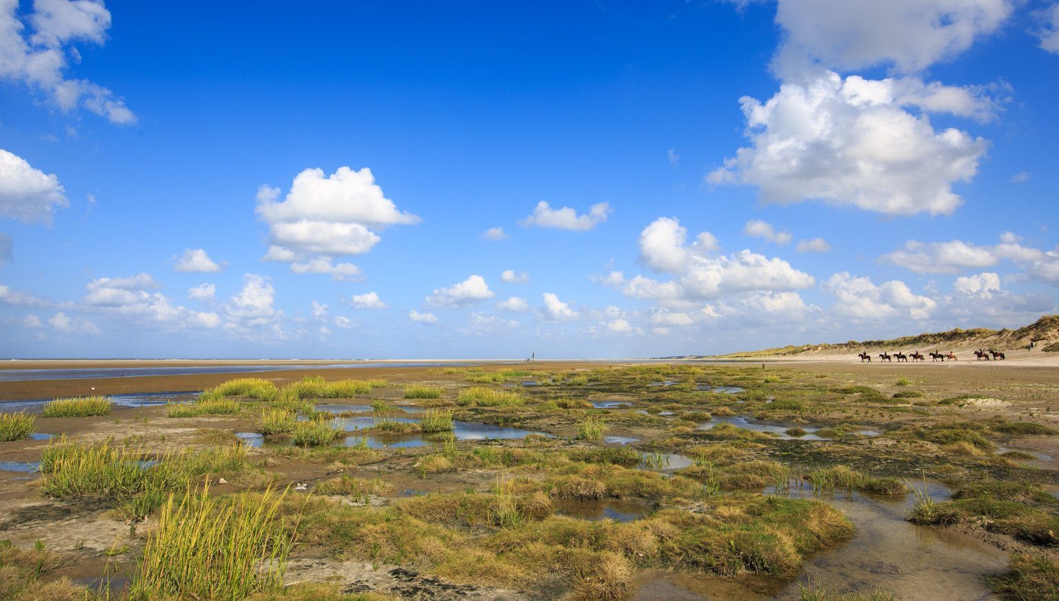 Groene strand - VVV Ameland