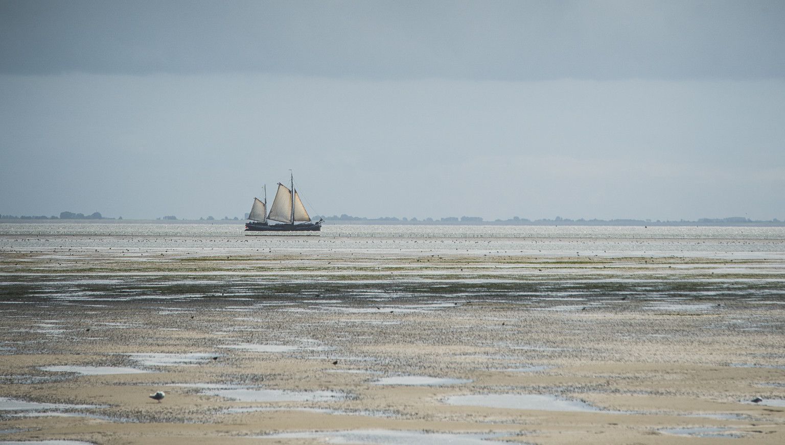 Rhythm of ebb and flow - Tourist Information 'VVV' Ameland