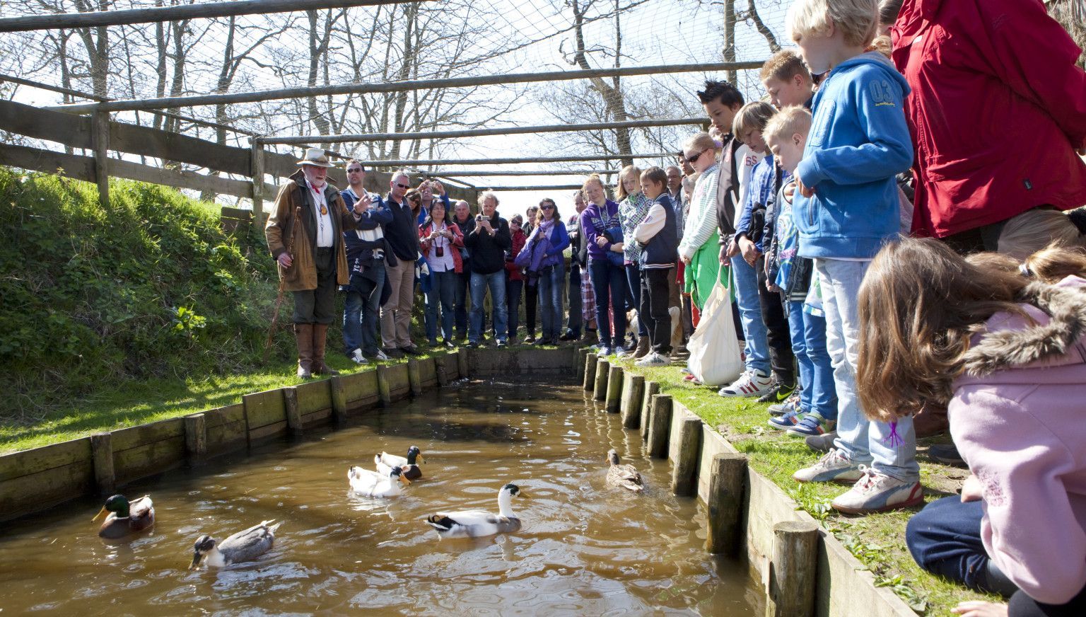 Eendenkooi excursie - VVV Ameland