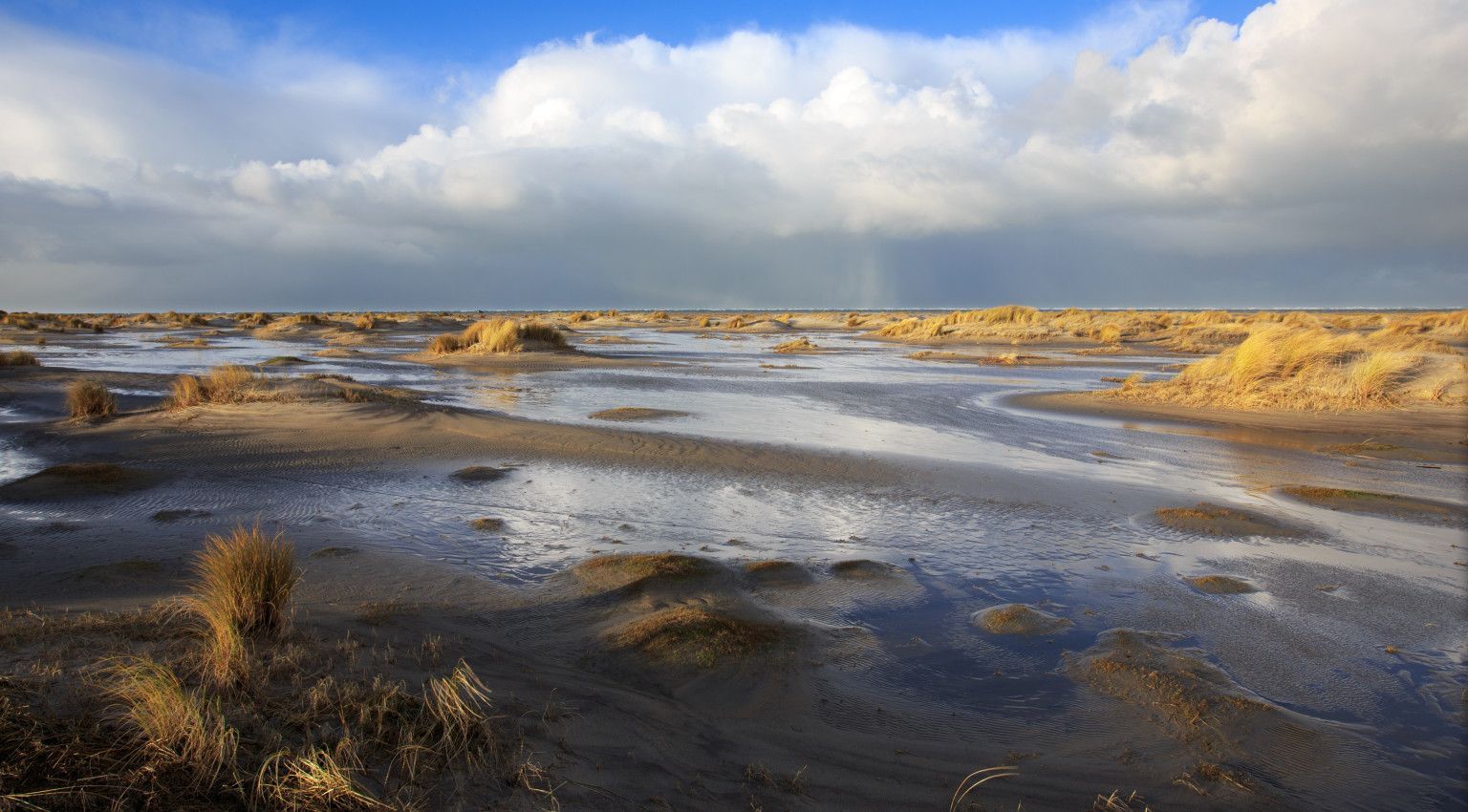 Oerd and Hôn - VVV Ameland