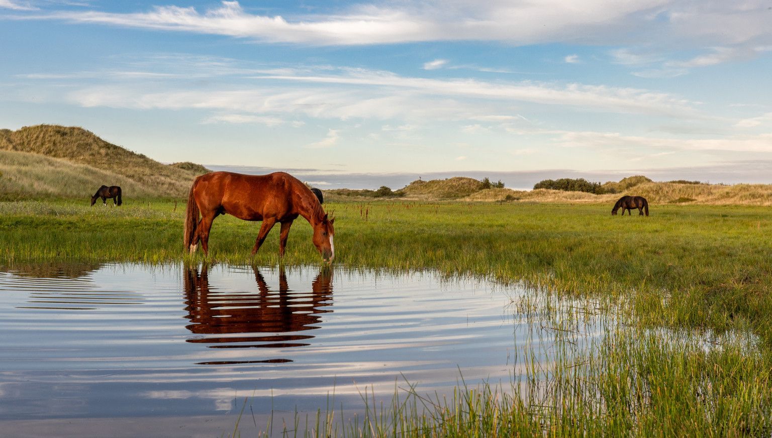 New Year's resolutions? Start on Ameland! - VVV Ameland