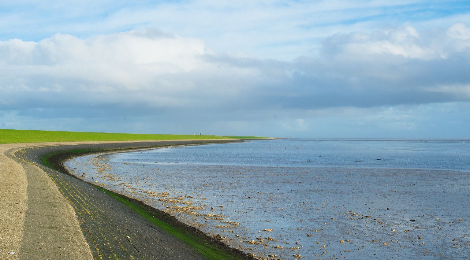 Waddenzee als Voedselbron - VVV Ameland