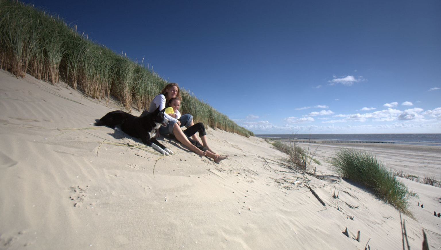 Webcam beach - Tourist information 