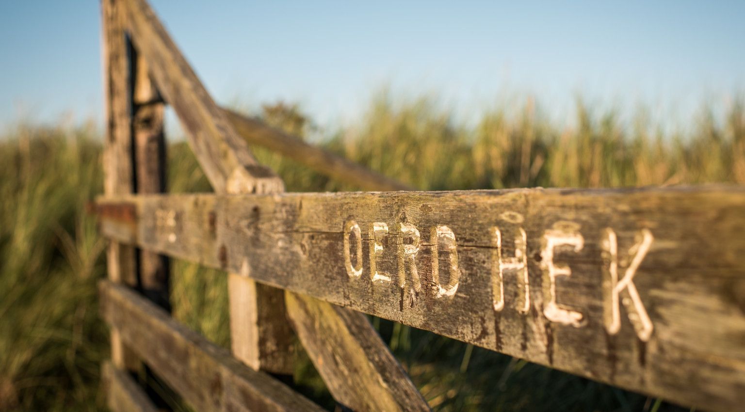 Must do: ga naar 't Oerd! - VVV Ameland