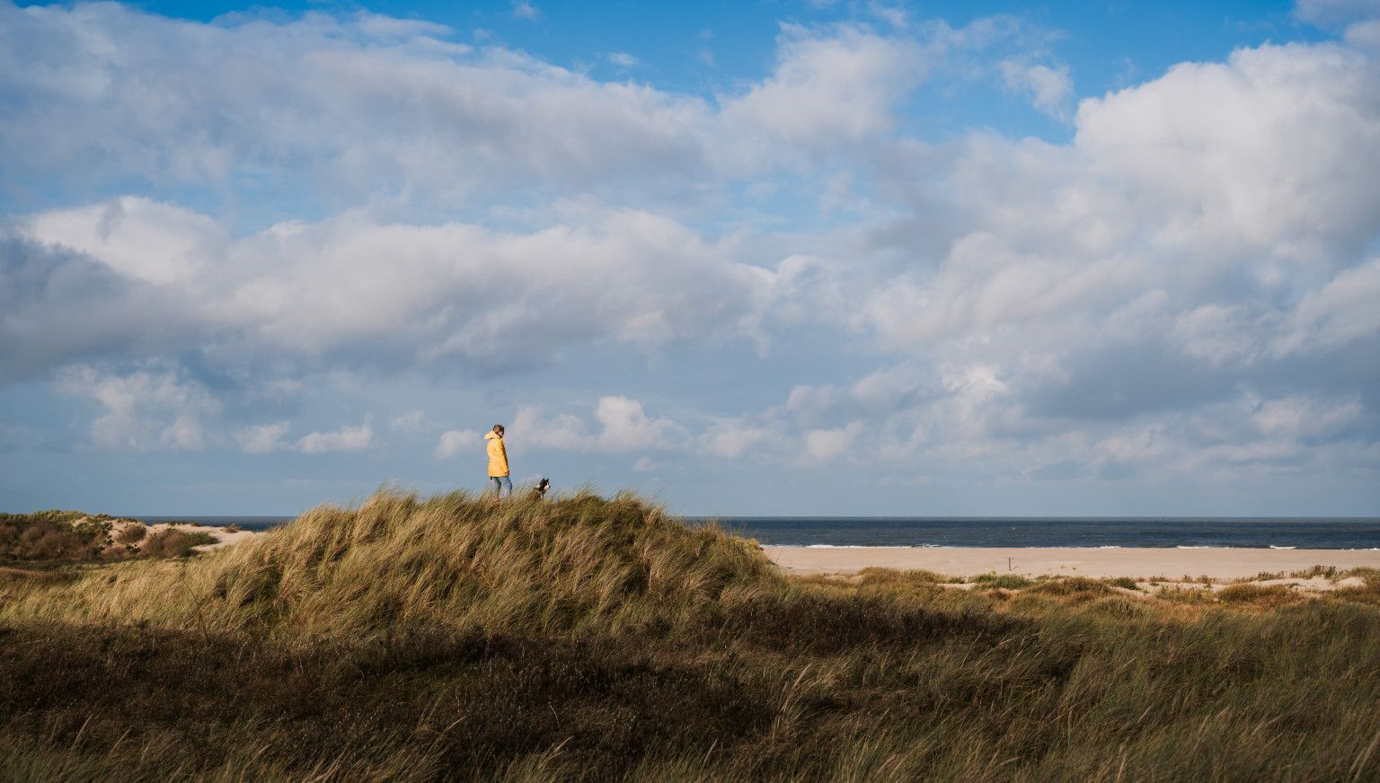 New Year's resolutions? Start on Ameland! - VVV Ameland