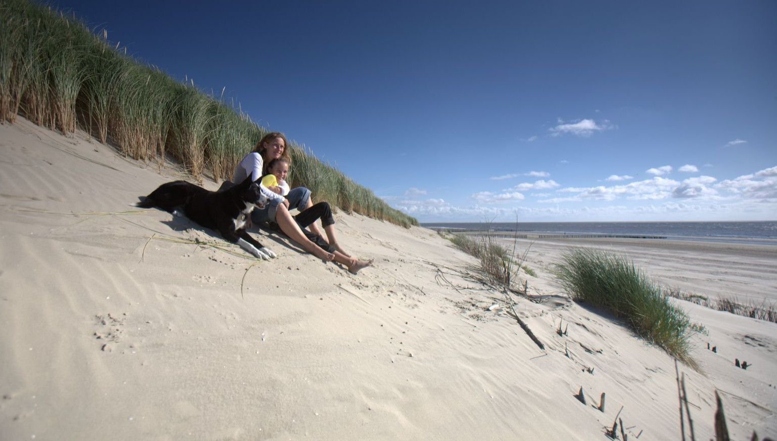 Webcam Beach - Tourist Information 