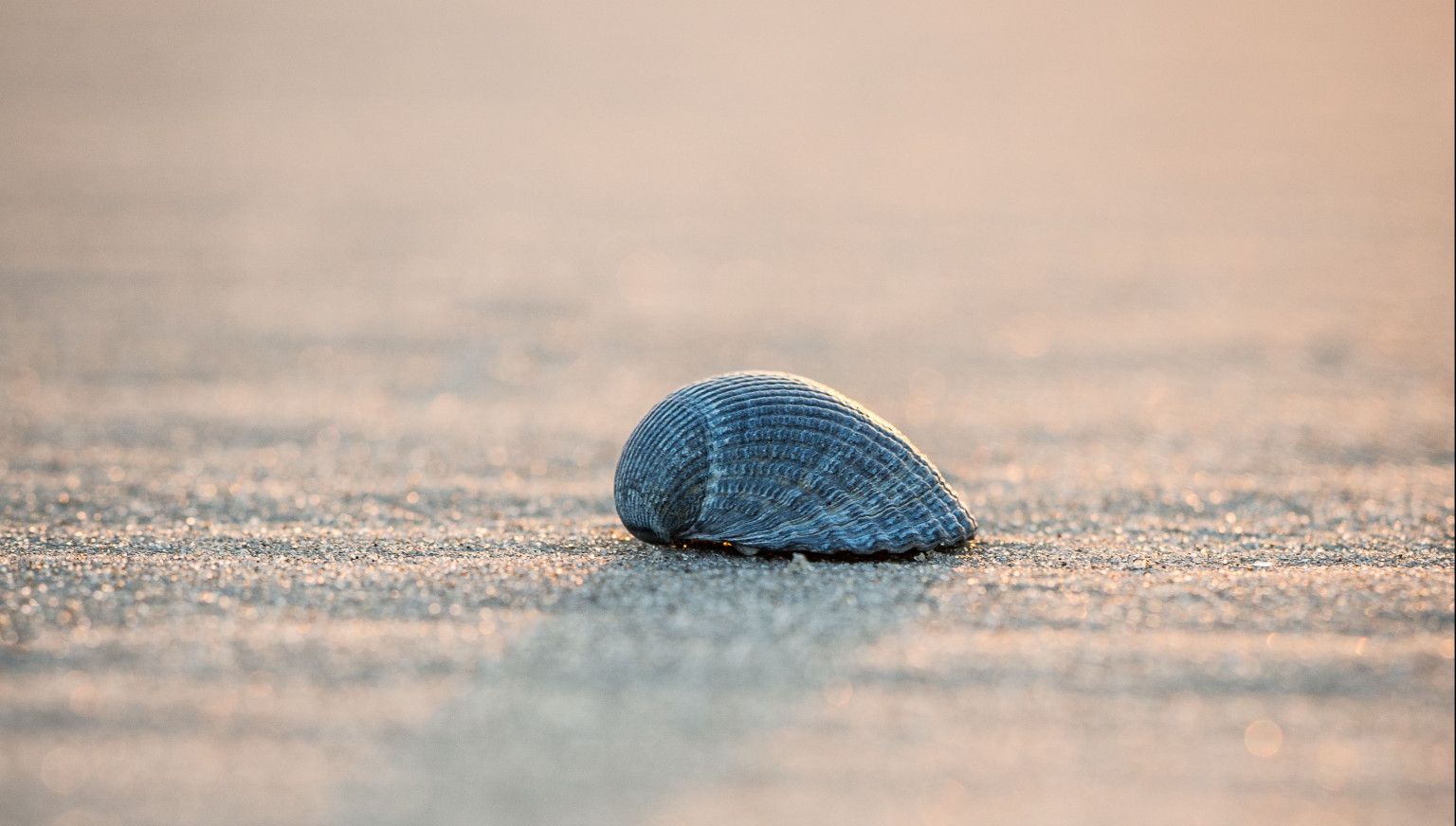 Ameland in winter: peace, space and cosiness – 7 tips  - VVV Ameland