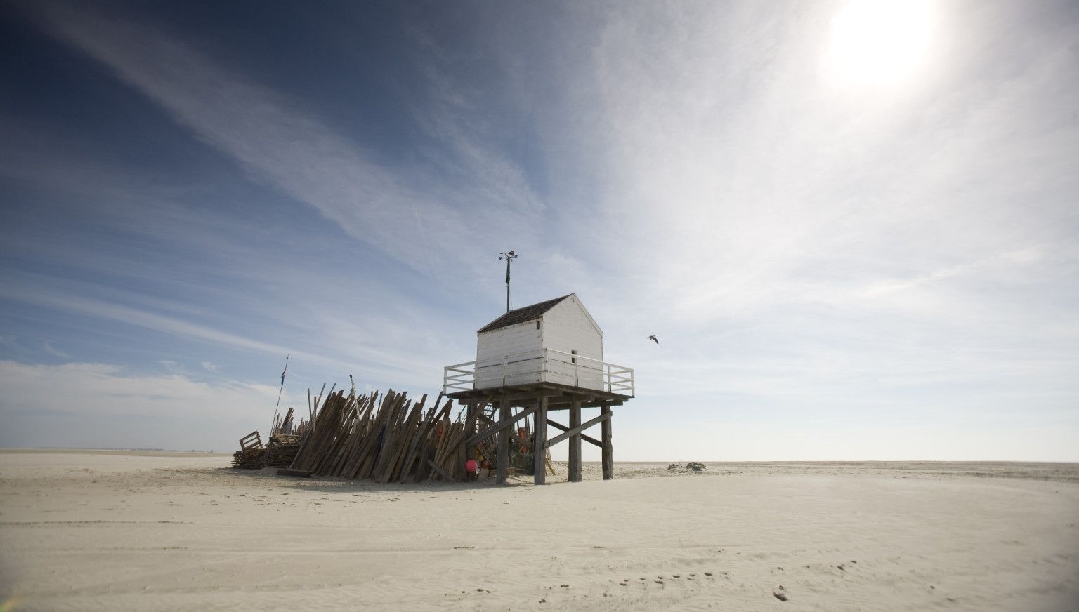 Mudflat hiking or island hopping - Tourist Information 