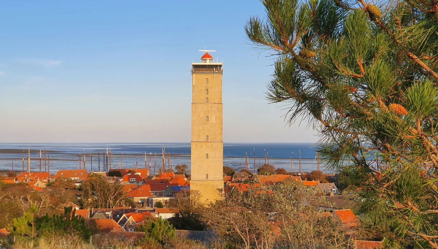 Wadden hopping and island hopping - VVV Ameland