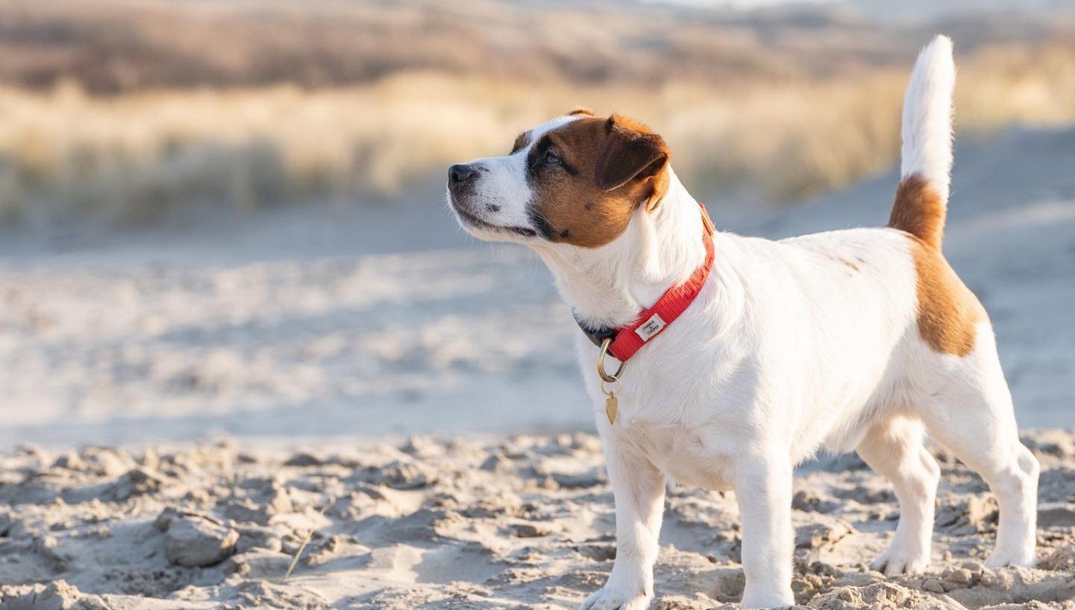 Herfst en najaar op Ameland - VVV Ameland