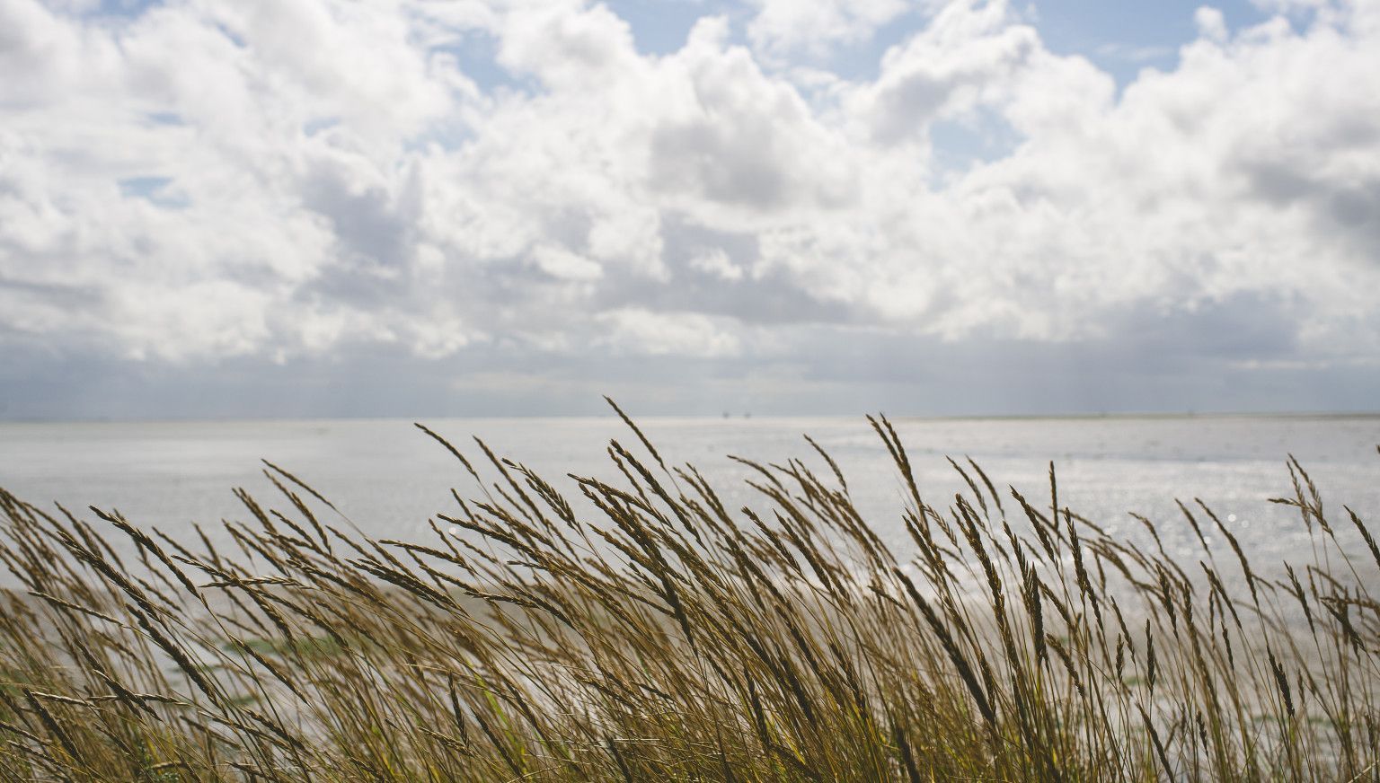 Differences by location - Tourist Information 'VVV' Ameland