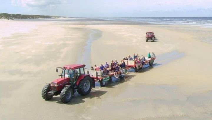 programme of activities and events on Ameland -  Tourist Information 