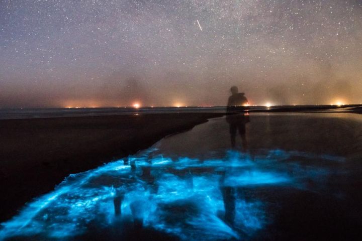 Sea spark - Foto Rafael Martig - VVV Ameland