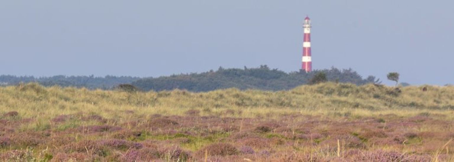 Frequently asked questions about groups - Tourist Information Centre VVV Ameland.