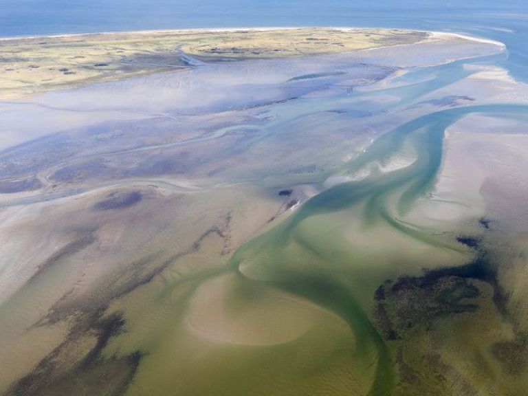 Film 'WAD, overleven op de grens van water en land' op Ameland - Ruben Smit Productions