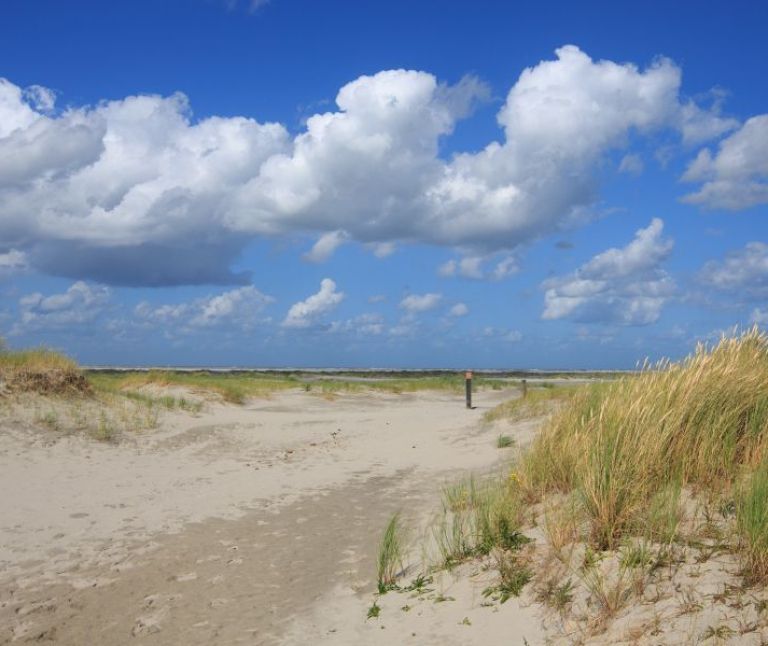 Green Beach - Tourist Information “VVV”Ameland