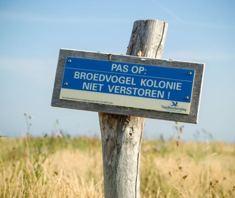 Green Beach - Tourist Information “VVV”Ameland