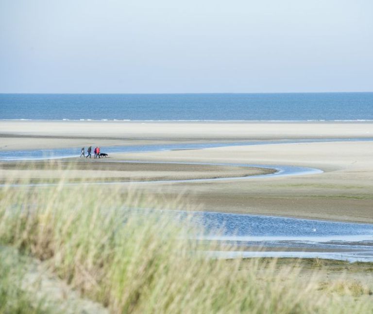 Green Beach - Tourist Information “VVV”Ameland