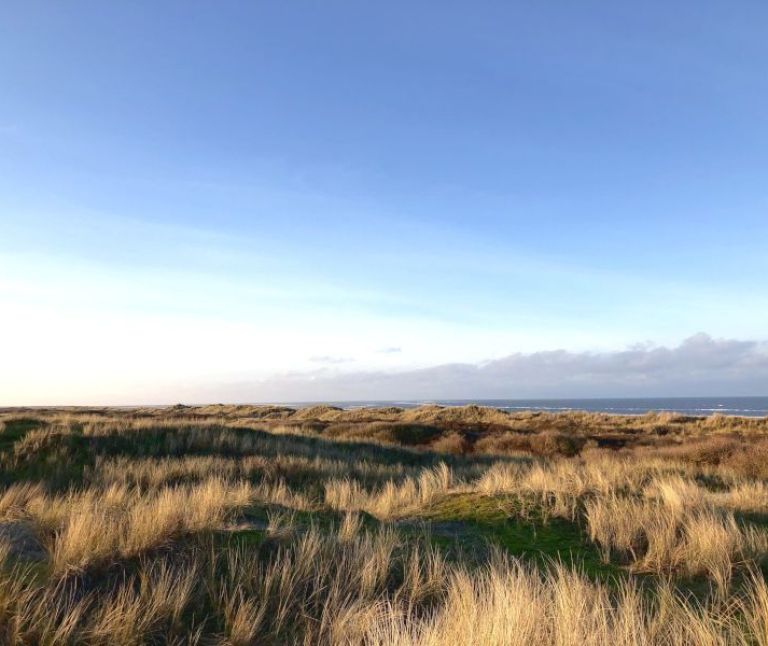 Origins of  Ameland - Tourist Information 