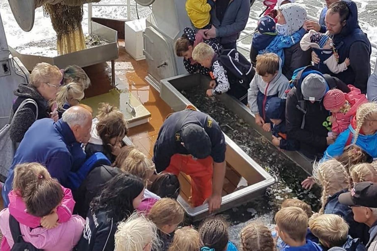 Boat trip to the seals & trawling