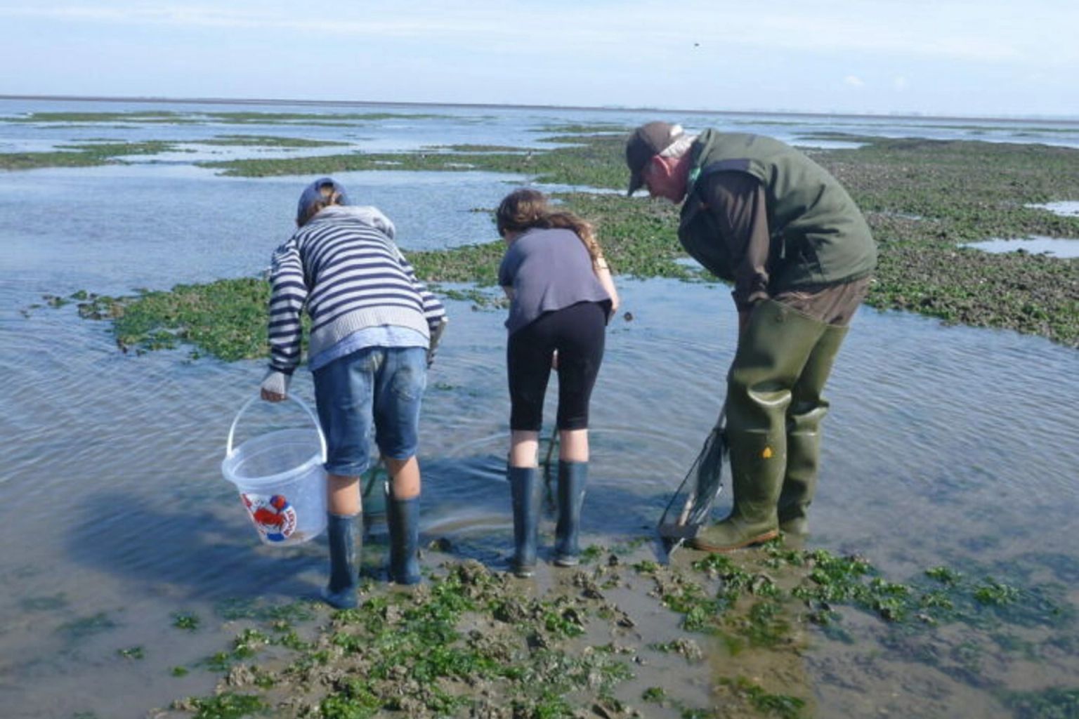 Mudflat excursion Nes