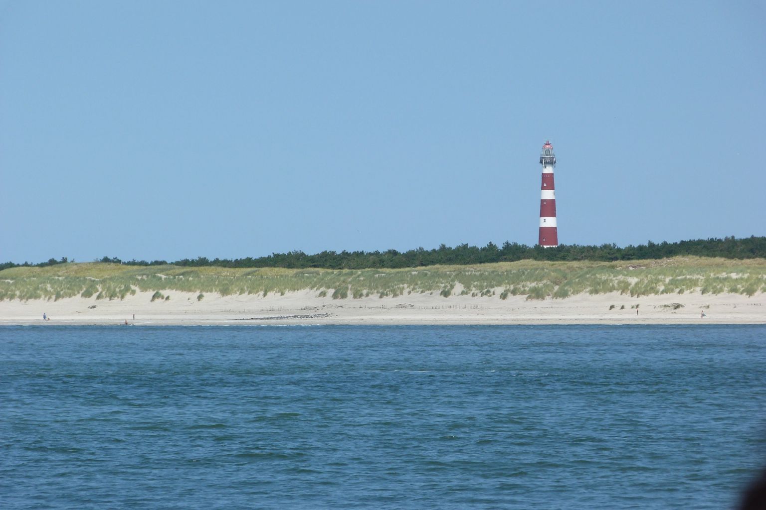 Boat trip to the seals and shellbank with the Ms Zeehond