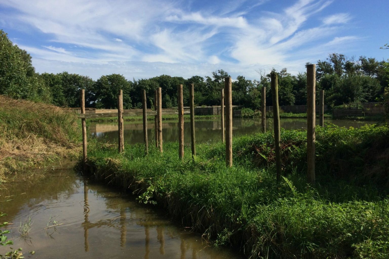 Eendenkooi excursie