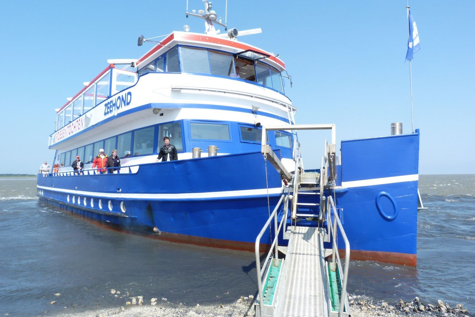 Boat trip to the seals and shellbank with the Ms Zeehond