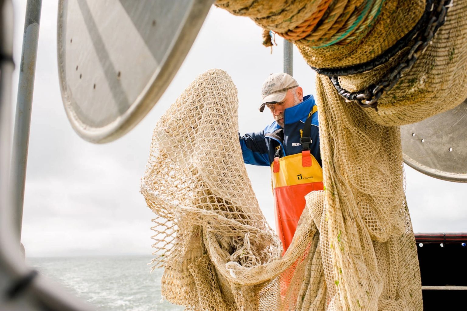 Boat trip to the seals & trawling