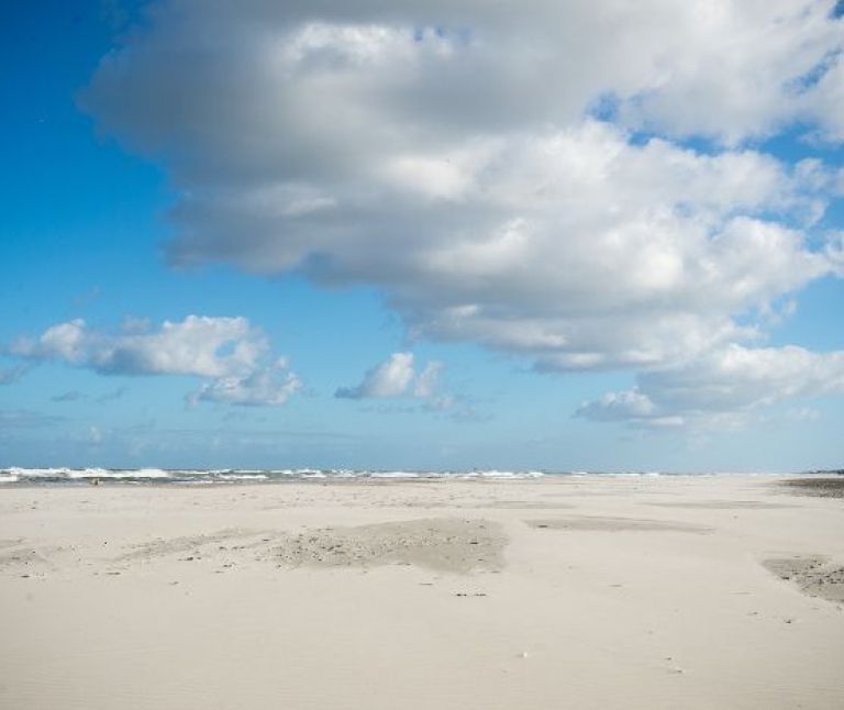 Nature - VVV Ameland