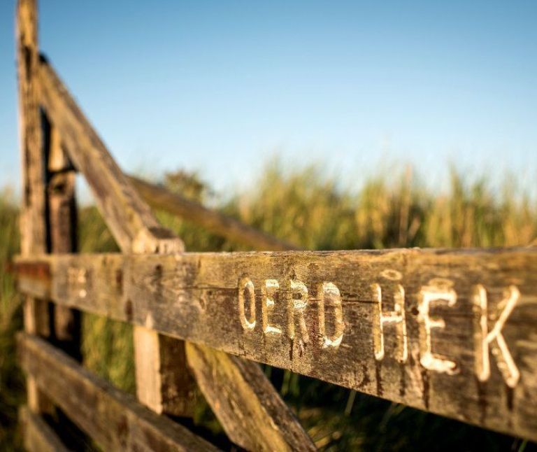 Oerd and Hôn on Ameland