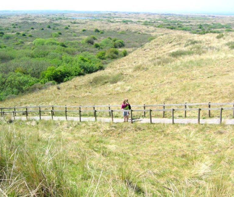 Oerd and Hôn on Ameland