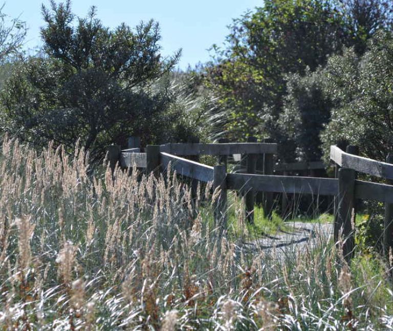 Oerd and Hôn on Ameland