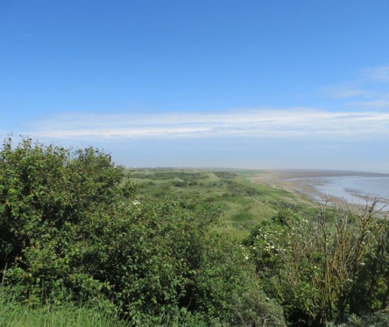 Oerd and Hôn on Ameland