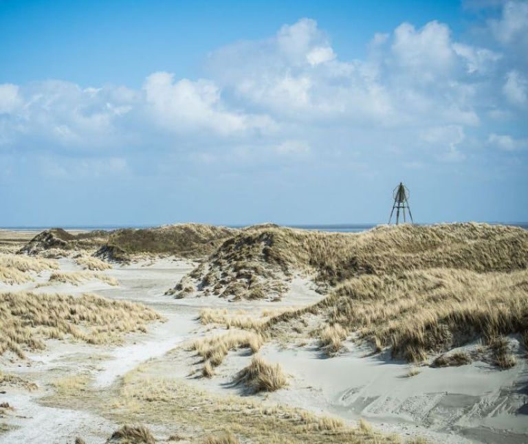 Oerd and Hôn on Ameland