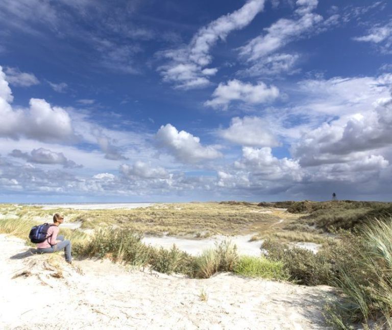 Oerd and Hôn on Ameland