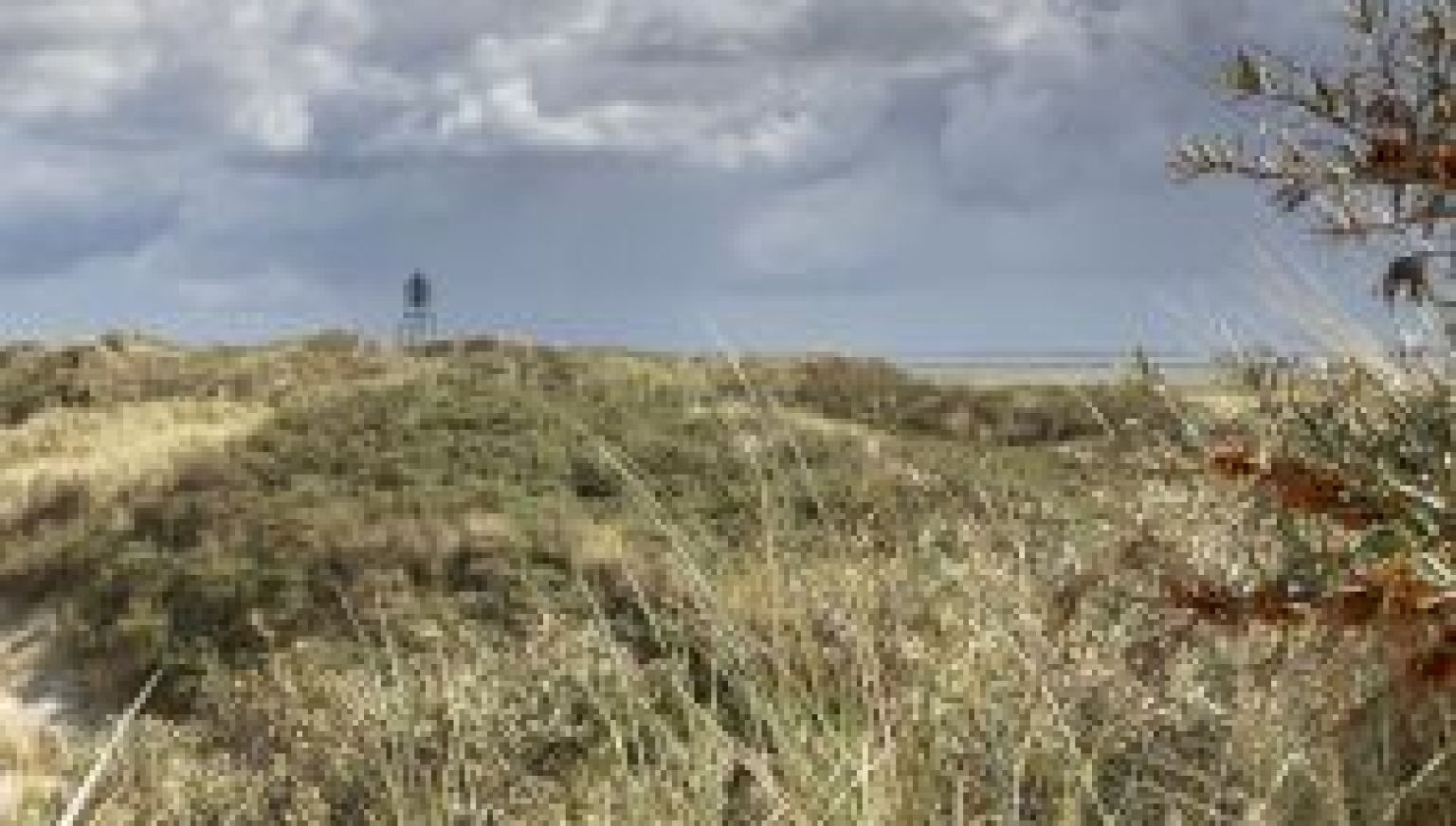 Oerd and Hôn on Ameland