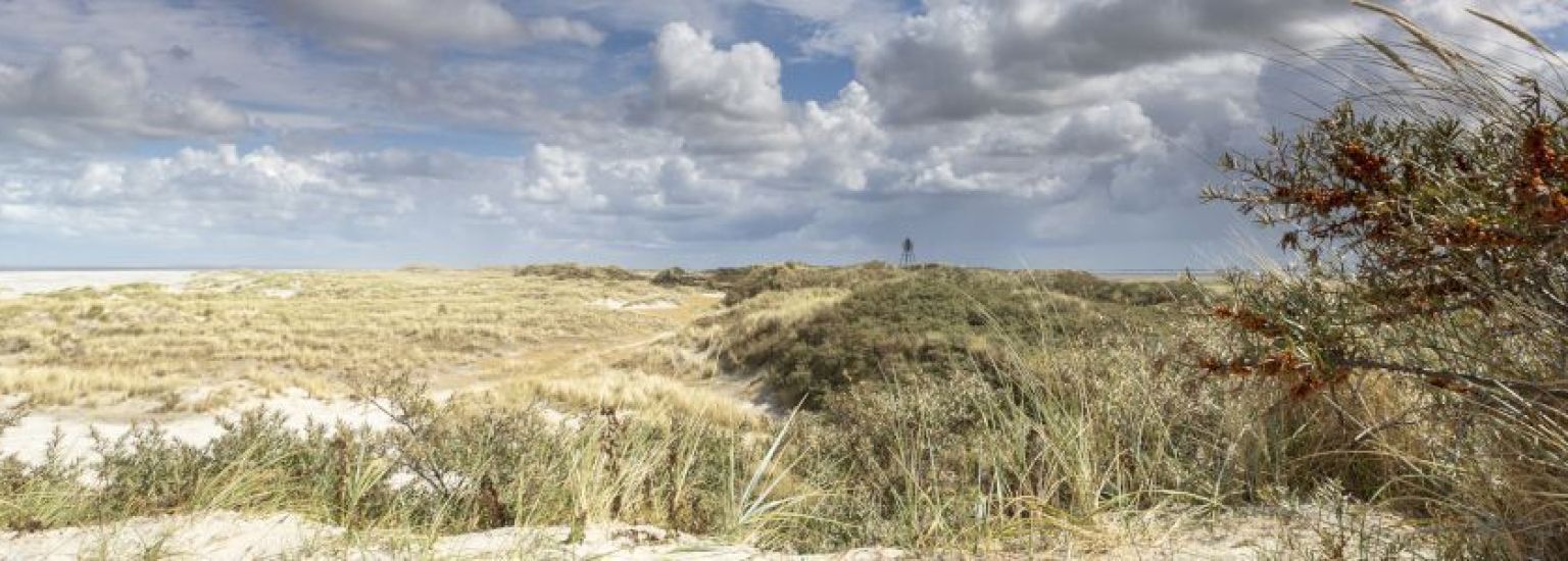 Oerd and Hôn on Ameland