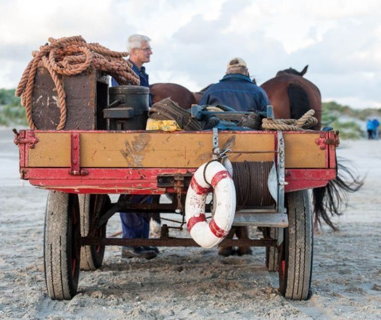 Horse island Ameland - Tourist Information “VVV”Ameland