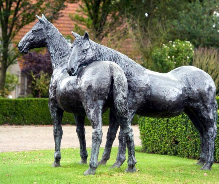 Horse island Ameland - Tourist Information “VVV”Ameland