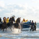 Demonstration horse-drawn rescue boat - VVV Ameland