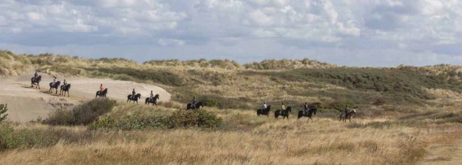 Frequently asked questions about activities and events on Ameland - Tourist Information Centre VVV Ameland.