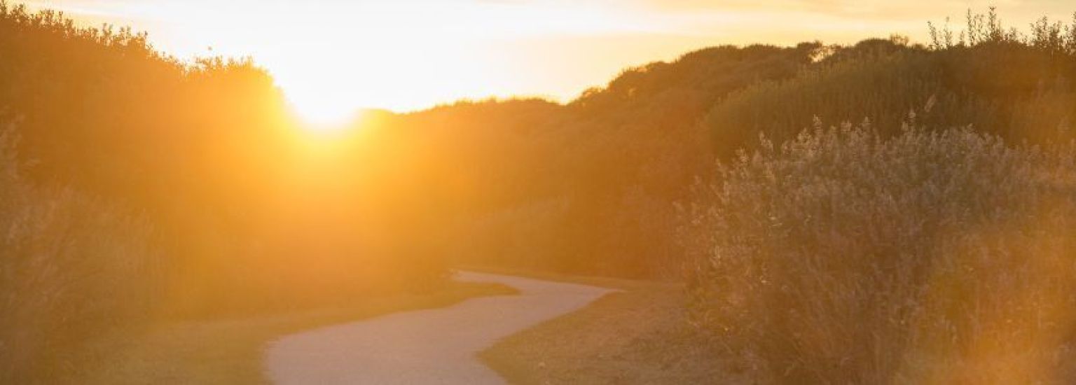 Frequently asked questions about wheelchair friendly Ameland - Tourist Information Centre VVV Ameland. 