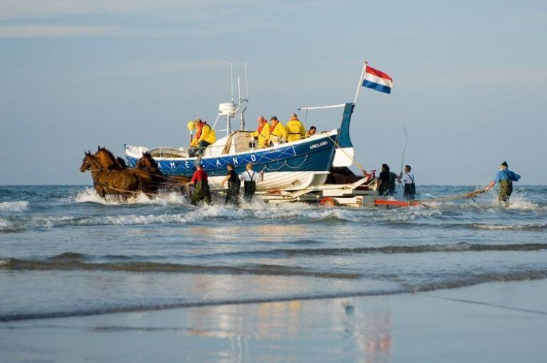 Programme of activities and events on Ameland - Tourist Information 